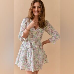 Mi ami Francesca’s V Neck Floral Mini Swing Dress